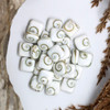 Shiva Eye Shell Polished 10mm Puff Square Double Sided - Sold Individually