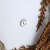 Shiva Eye Shell Polished 6x7mm Oval