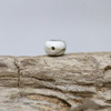 Shiva Eye Shell Polished 6x7mm Oval