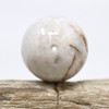 Petrified Wood Polished 20mm Round