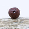 Bodhi Seed 12mm Round