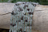 Lodolite Polished 5mm Faceted Energy Prism