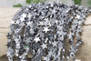 Rhodium Plated Hematite Polished 8mm Flat Star