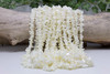 White Shell Polished 10-14mm Long Chips
