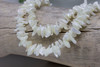 White Shell Polished 10-14mm Long Chips