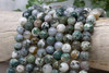 Tree Agate Polished 12mm Round