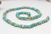 Campitos Turquoise Polished 4-8mm Chips