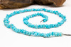 Campitos Turquoise Polished 3-4mm Chips