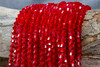 Glass Crystal Polished 6mm Bicone - Red