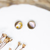 Abalone Polished 6mm Double Sided Coin Bead