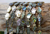 Abalone Shell 12x16mm Double Sided Hamsa Palm