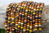 Mixed Wood Polished 6x4mm Rondelle