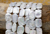 Freshwater Pearls Polished White 16-20mm Rectangle