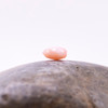 Pink Opal Polished 7mm Briolette