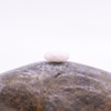 Silverite Polished 9mm Faceted Briolette