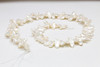 Freshwater Pearls White Polished 8x18mm Biwa
