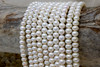 Freshwater Pearls White A Grade 7-8mm Button