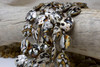 Sarmatieus Shell Polished 20mm Coin Bead - Double Sided