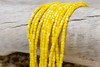 Natural Shell Yellow Dyed 3.5mm Polished Drum