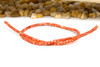 Natural Shell Coral Dyed 3.5mm Polished Drum