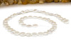 Natural Shell Pearl White 8mm Coin
