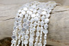 Natural Shell Pearl White 8mm Coin