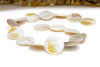 Natural Shell 24mm Polished Coin
