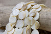Natural Shell 24mm Polished Coin