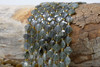 Labradorite Polished 8mm Faceted Clover / Quatrefoil