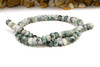 Tree Agate Polished 5x8mm Rondelle