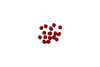 Swarovski Crystal Polished Light Siam 3mm Bicone