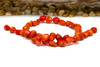 Coral Polished 10-12mm Nugget
