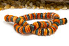 Turquoise & Spiny Oyster 12-13mm Heishi