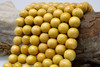 Jackfruit Wood Polished 15mm Round