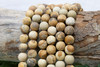 Picture Jasper Matte 10mm Round