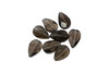 Smokey Quartz Polished 6x9mm Faceted Pear
