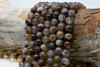 Striped Agate Polished A Grade 10mm Coffee Round
