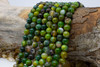 Striped Agate Polished A Grade 8mm Kelp Mix Round