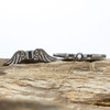 Stainless Steel 6x21mm Angel Wing Bead