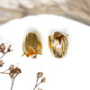 18kt Gold Plated 10x12mm Tulip End Cap