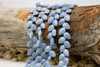 Bolder Opal Polished 8-11mm Faceted Leaf Drop