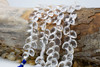 Crystal Quartz Polished 8-11mm Faceted Leaf Drop