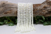Mother of Pearl Polished 8mm Round