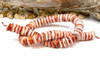 Spiny Oyster Polished 14mm Free Form Rondelle