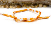 Spiny Oyster Polished 6x10mm Orange Tube