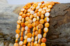 Spiny Oyster Polished 8mm Orange Puffy Coin
