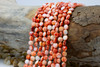 Spiny Oyster Polished 6mm Orange / Peach Puffy Coin