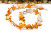 Spiny Oyster Polished 16x20mm Orange Turtle