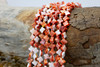Spiny Oyster Polished 6mm Orange / Peach Clover