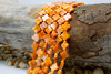 Spiny Oyster Polished 10mm Orange Clover